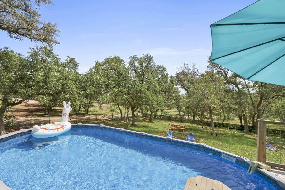 View of backyard