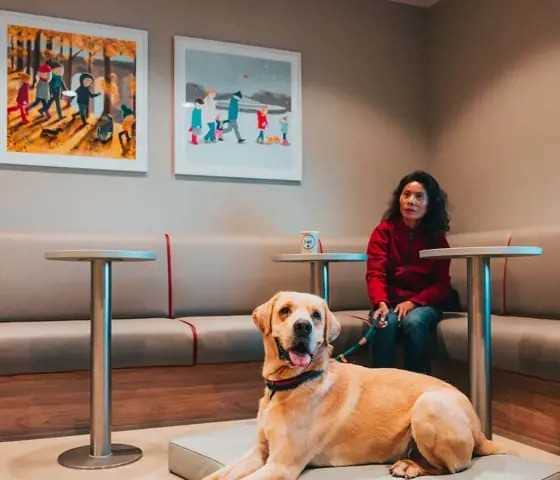 Travel with pets on Steam Packet ferries (credit: Steam Packet Company)