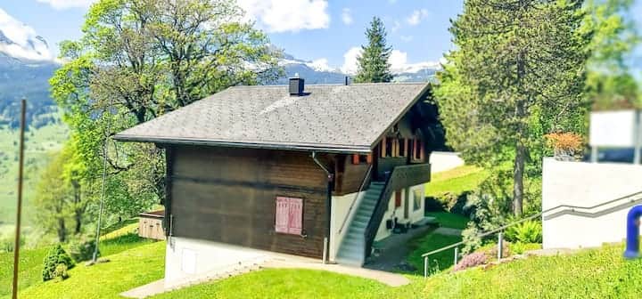 Apartment Bussalp