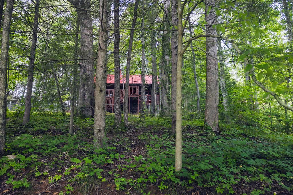 Wooded and private