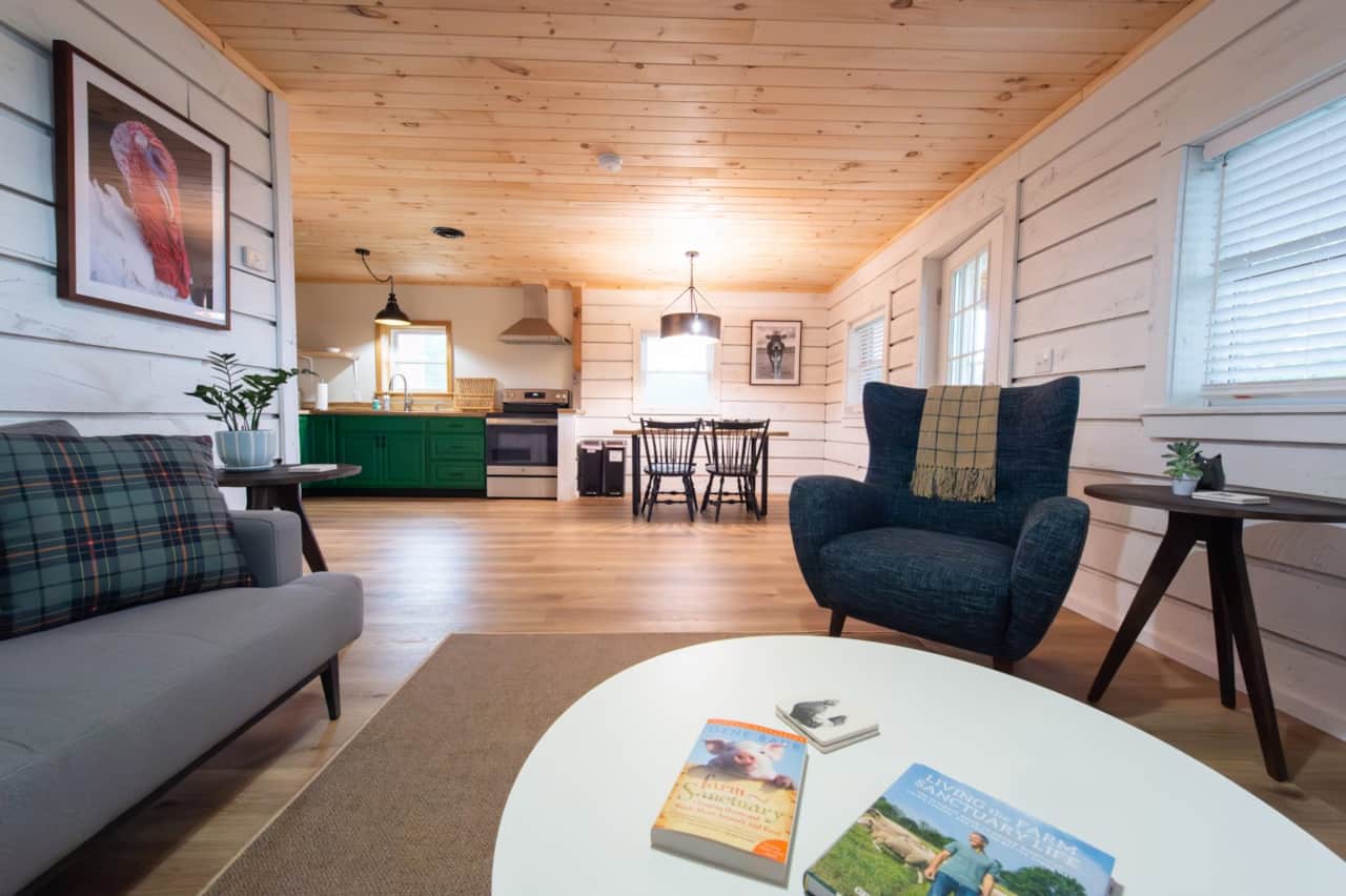 Living Room with Sofa Bed