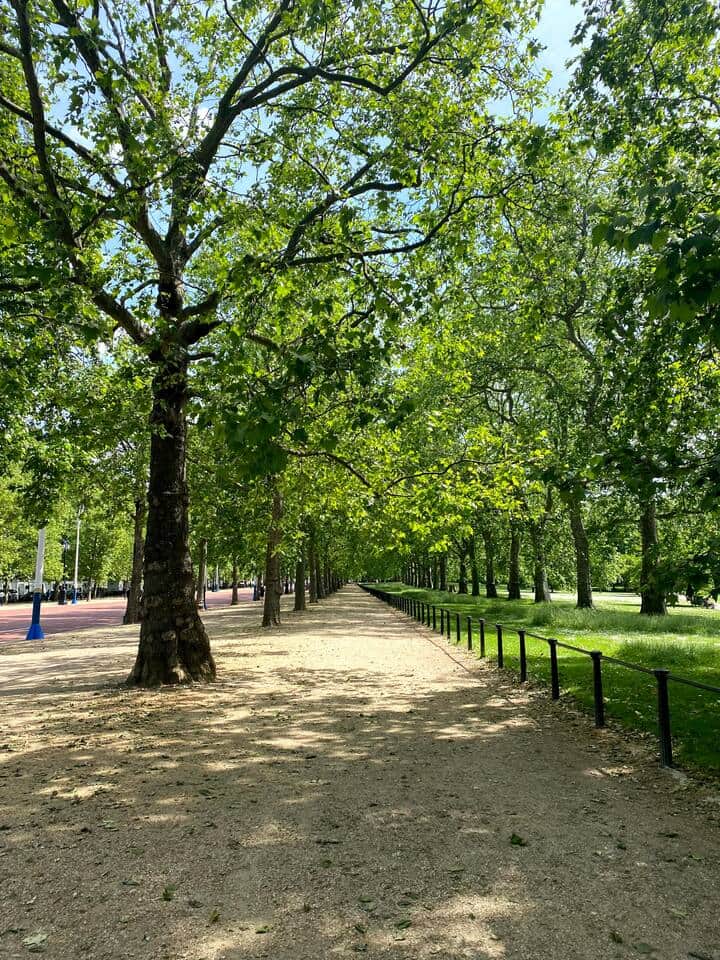 Stroll through St James’ Park – a peaceful retreat 20 minutes from your London accommodation Stroll through St James’ Park – a peaceful retreat 20 minutes from your London accommodation