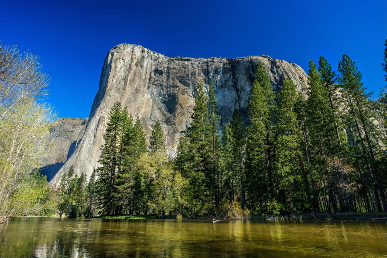 A quieter landscape in Yosemite National Park