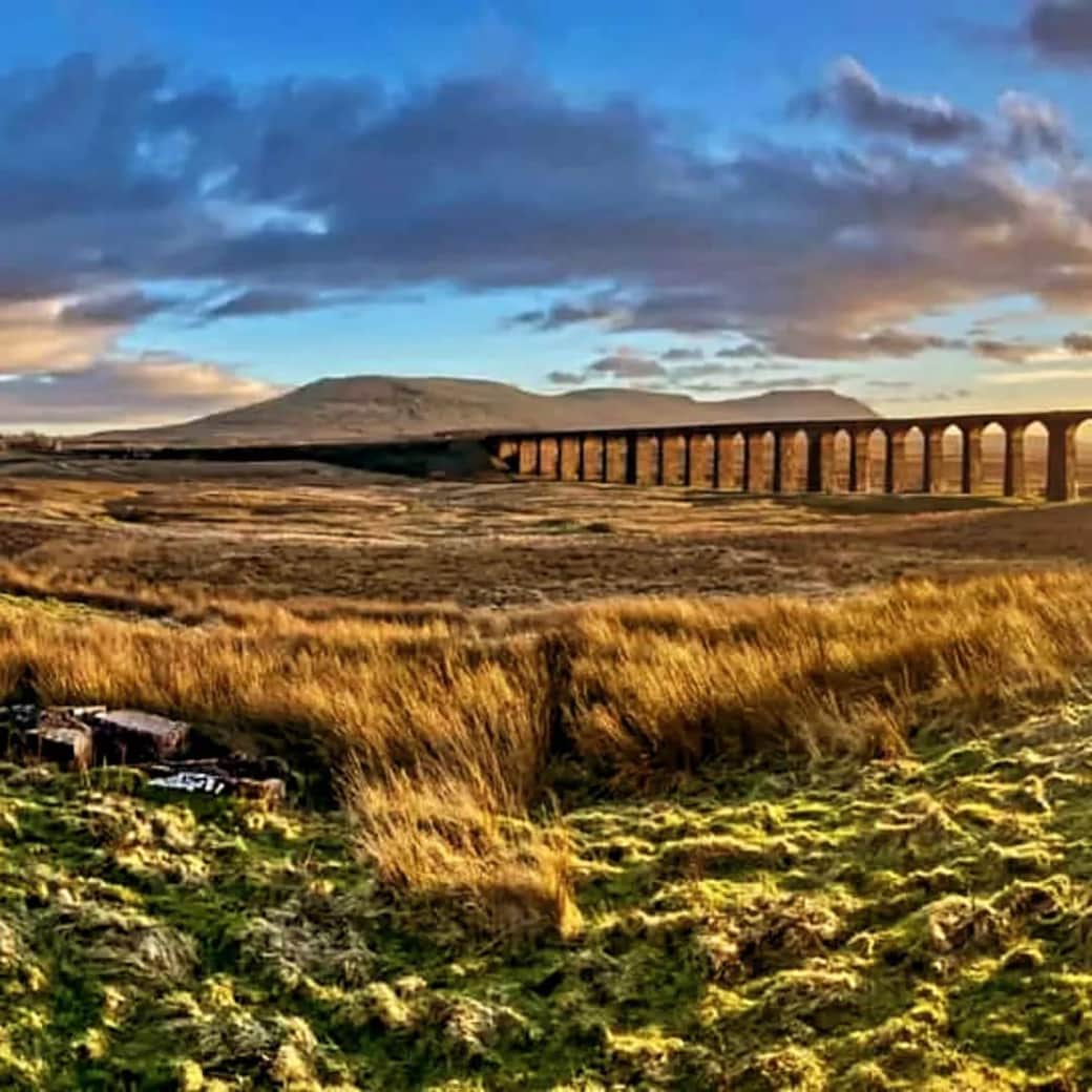 You pause beneath Ribblehead Viaduct, Ingleborough steady in the distance, while your dogs explore  around you. Big views, wagging tails, and the kind of fresh air that makes you breathe a little deeper.