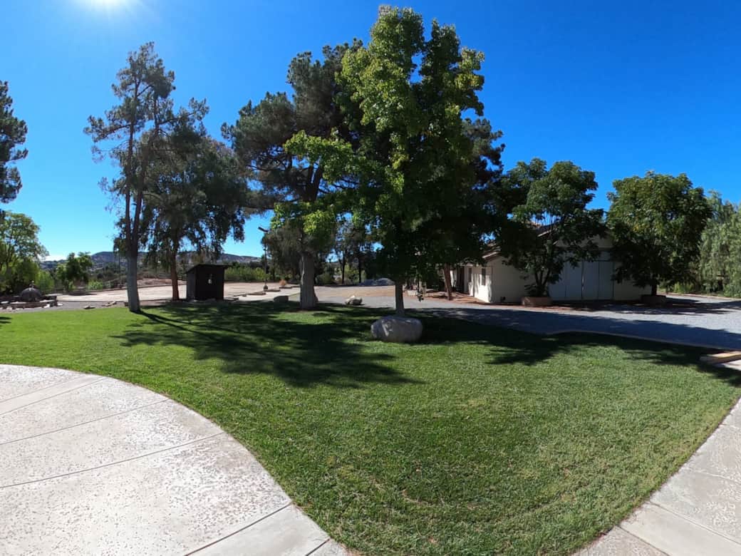 Backyard with Real Grass Lawn