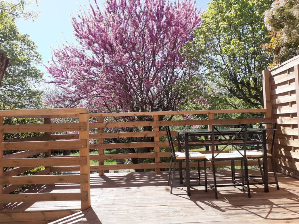 Vue de la Terrasse - Arbre de Judée en fleurs, avril