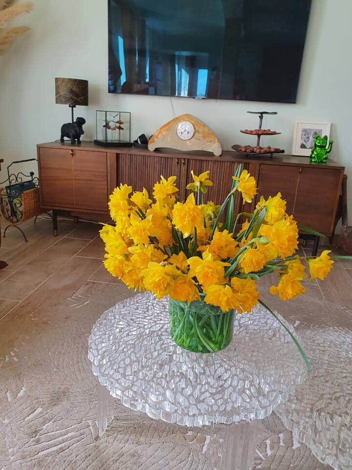 Fleurs du jardin
