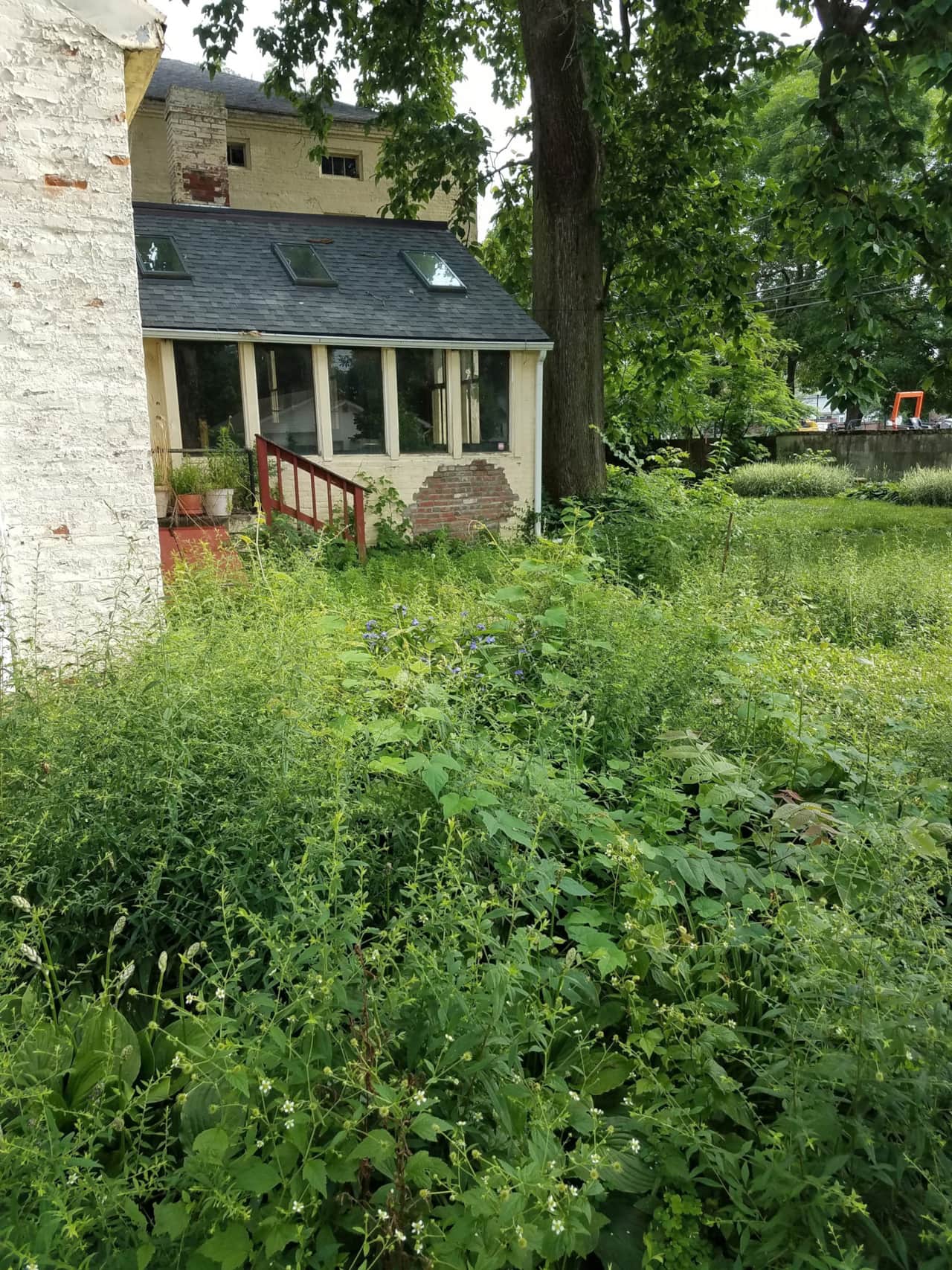 Tackling overgrowth before we begin