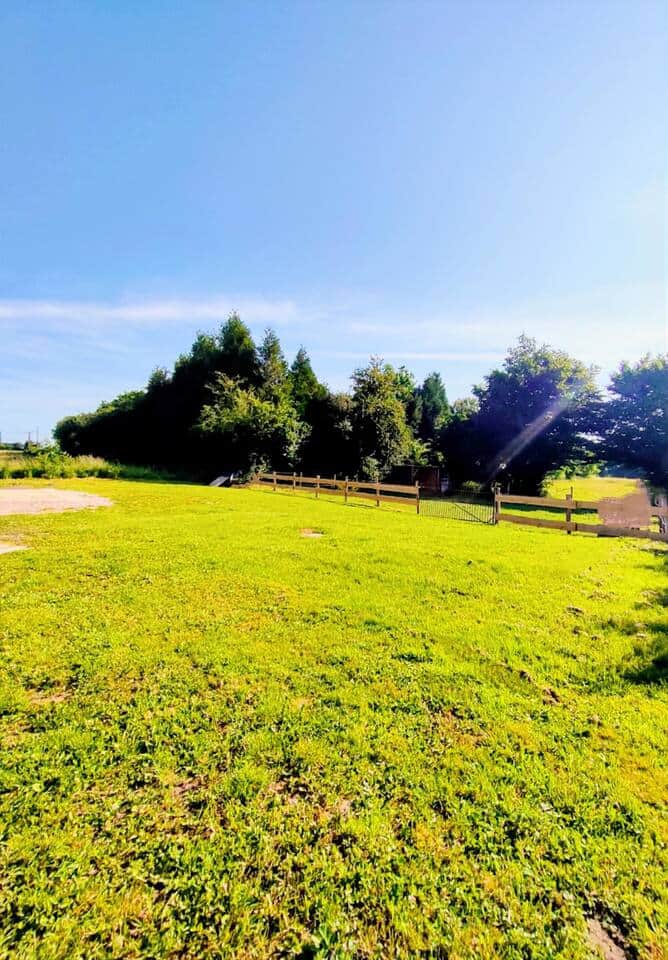 ACCUEIL CAVALIER POSSIBLE AVEC LES GRANDS PATURAGES