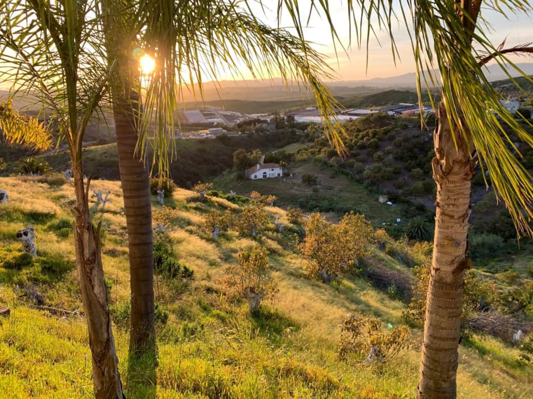 8b582976 46f3 4524 8b9d c12516b16b6e 8b582976 46f3 4524 8b9d c12516b16b6e