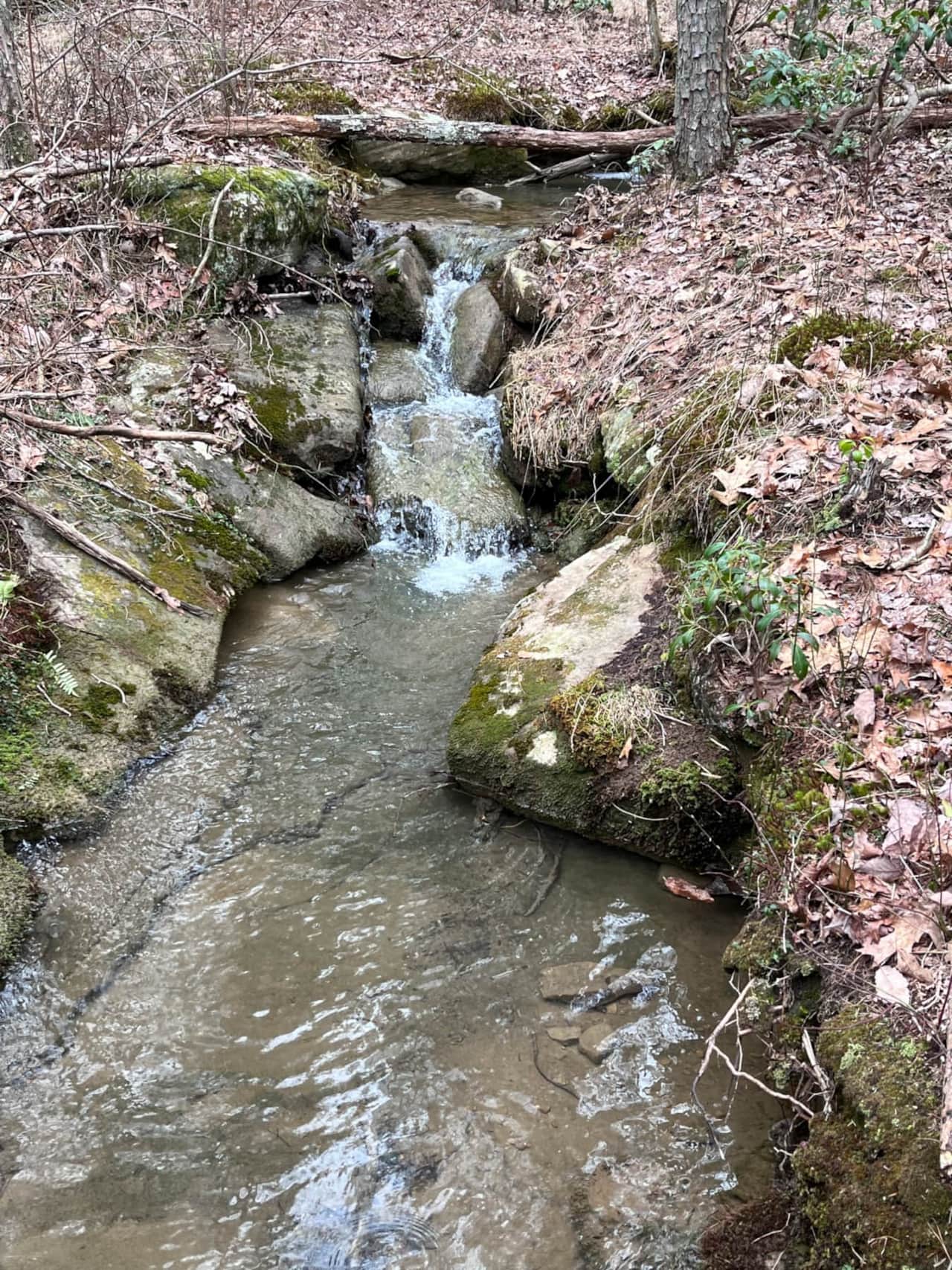 Nearly 1/2 mile of trail on a seasonal creek