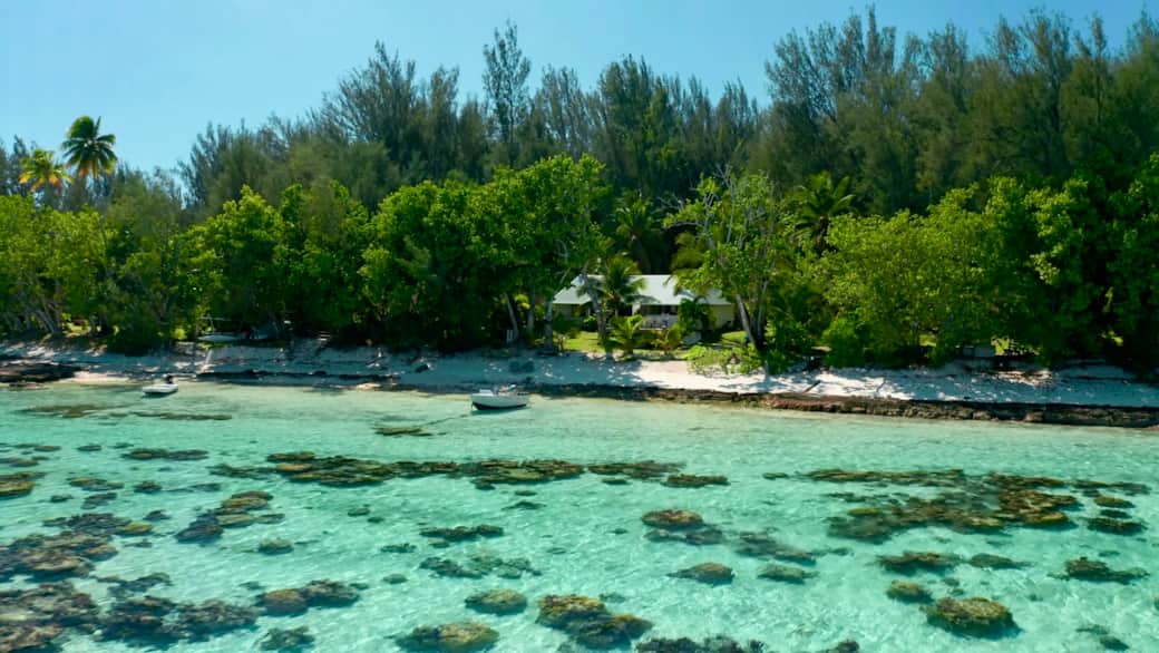 Fare One Island Moorea, our villa Fare One Island Moorea, our villa