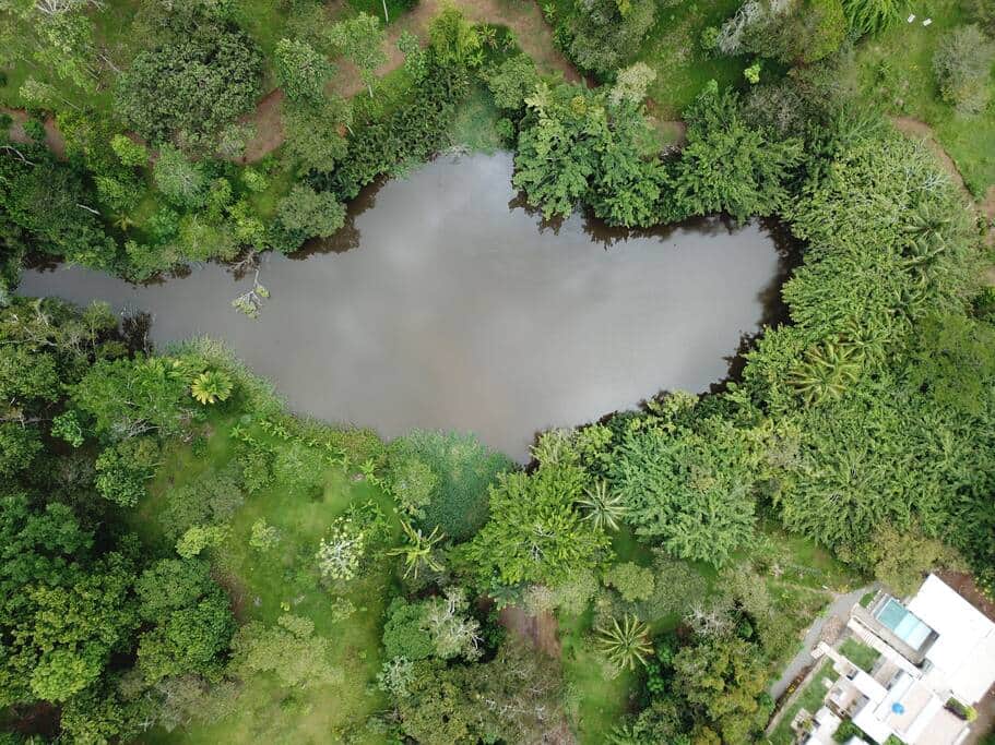 45854080 dd15 4c60 988f 35f95ab0d6b8