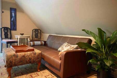 Eating Area & Pull Out Sofa