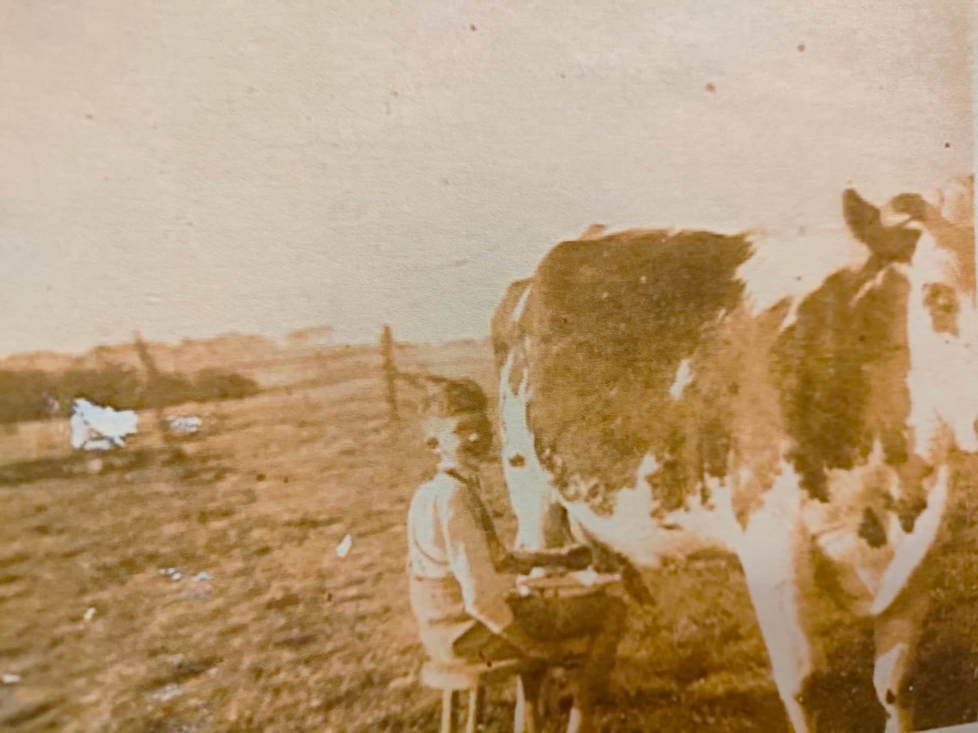 UNE HISTOIRE DE FAMILLE