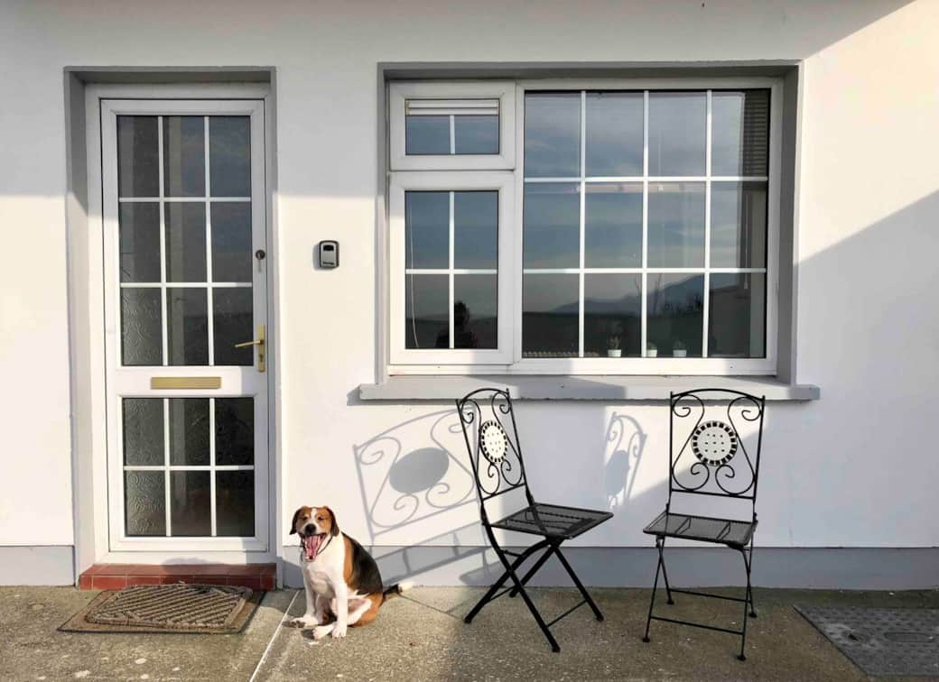 Oscar is bored of photos...

At the entrance to the apartment :)

Our dog and cat are not allowed to stay in the apartment but they sometimes come to the yard and say hello!