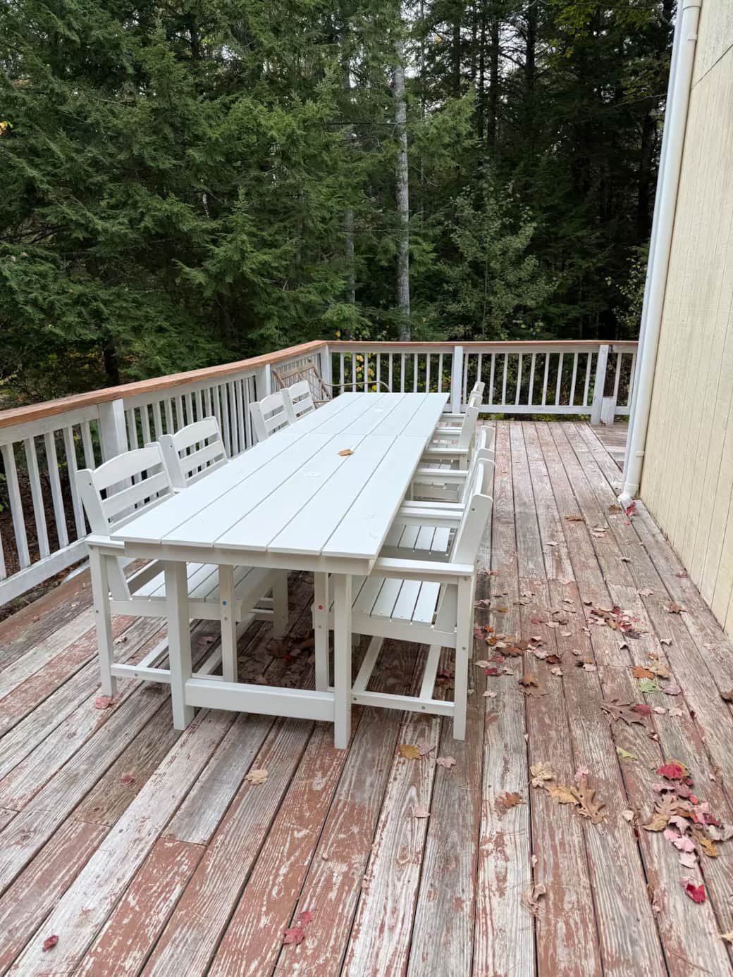 766ad9ff 4009 4414 8006 19c34edc2bf2 766ad9ff 4009 4414 8006 19c34edc2bf2