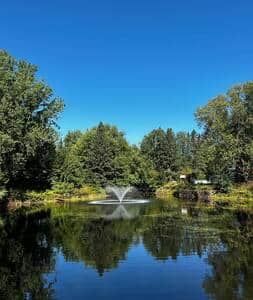 C1d2d773 a855 46e0 b506 fe0acb55ac6d C1d2d773 a855 46e0 b506 fe0acb55ac6d