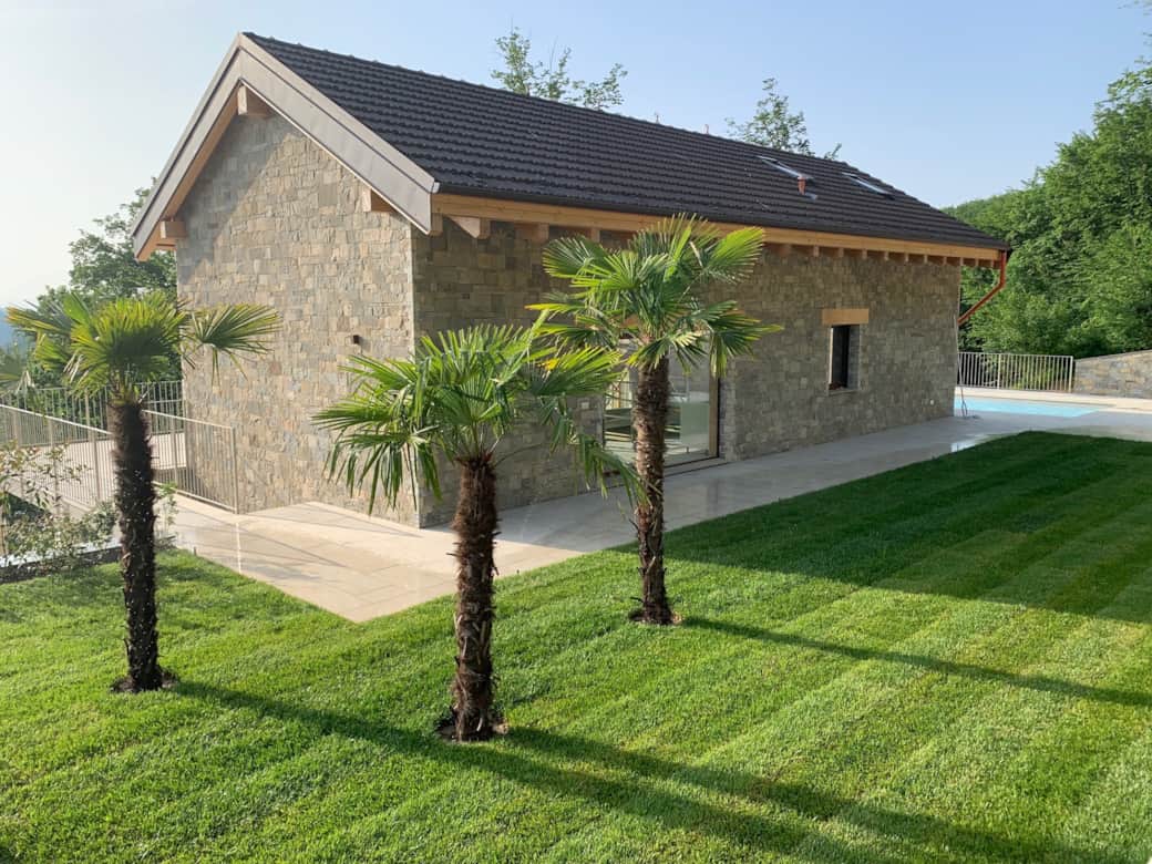 Lavanda - lawn area with palm trees