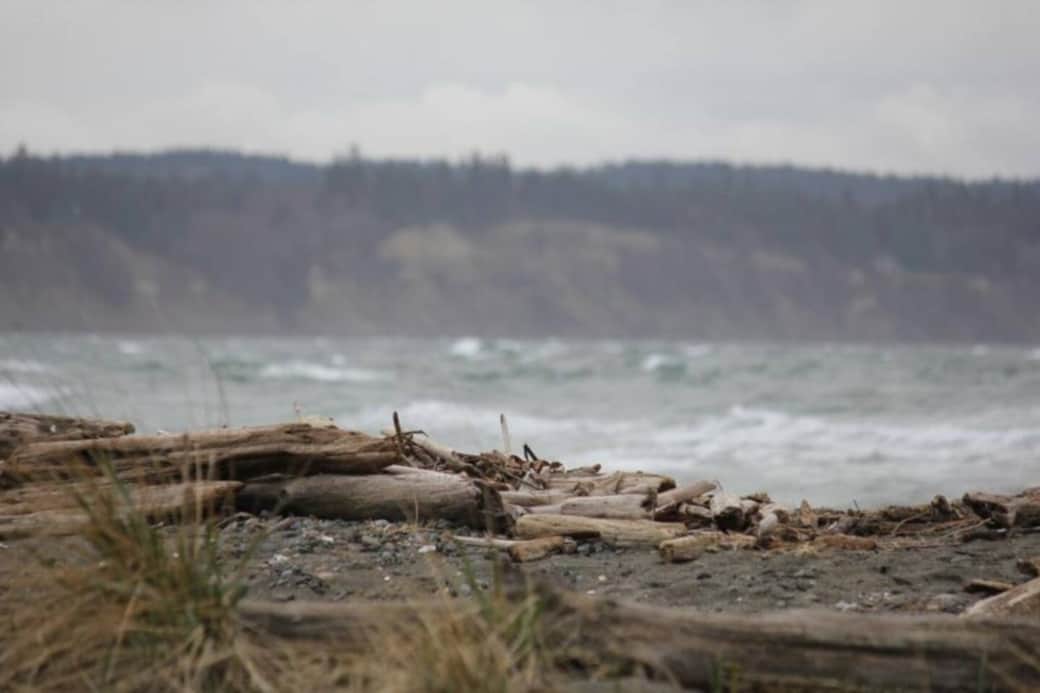 Even in winter Double Bluff beach is amazing! Even in winter Double Bluff beach is amazing!