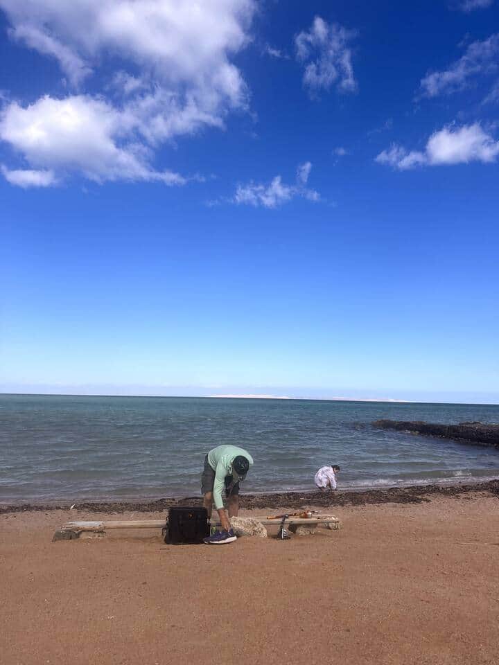 Free beach next to Turtle beach
