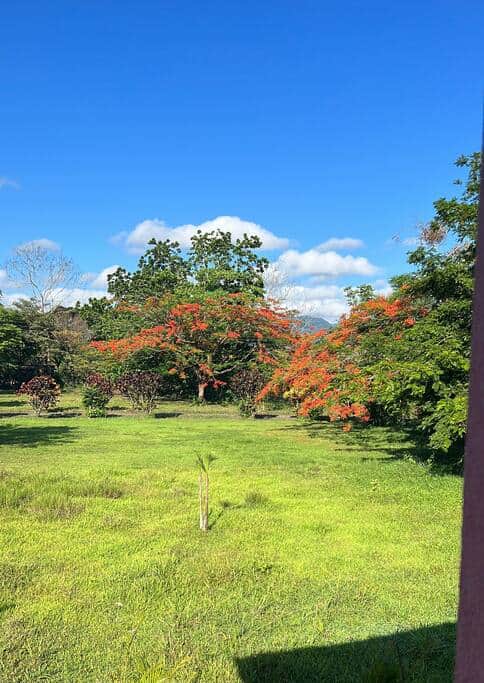 View from Balcony