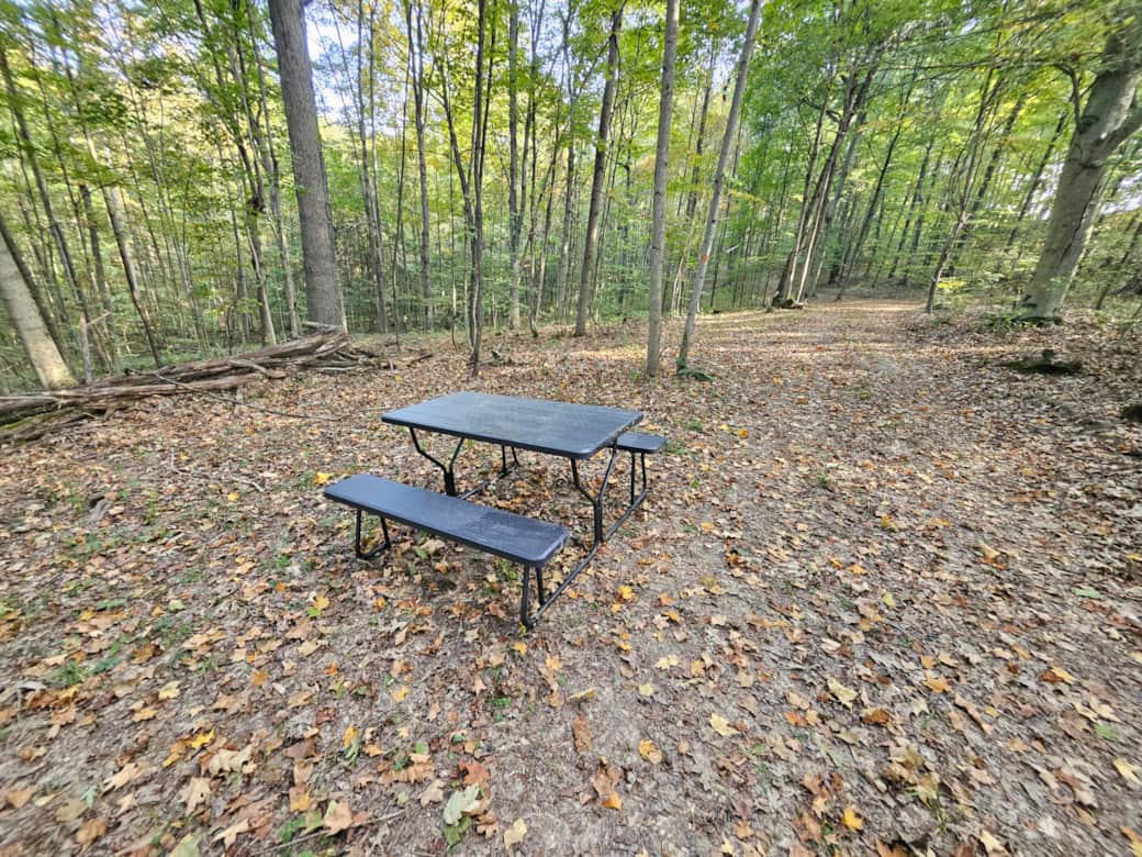 Picnic Table Picnic Table