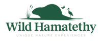 Wild Hamatethy