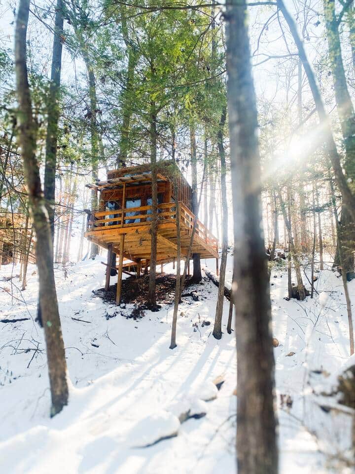 Unleash your inner child.  The newly built tree house is for adults and children.  It has two hammock swings inside and a cot.  Read a book, take a nap, escape from life!