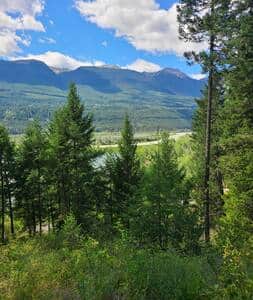 View View