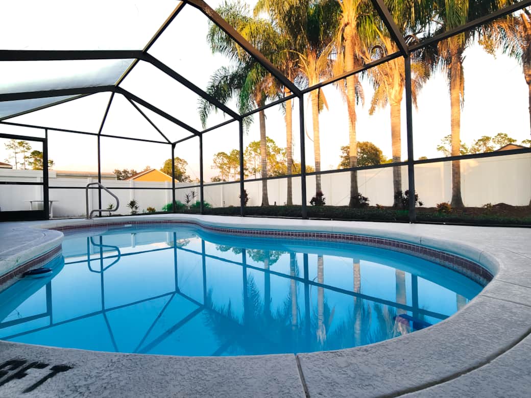 Heated Pool in Screened-In Lanai, Palm trees in backyard Heated Pool in Screened-In Lanai, Palm trees in backyard