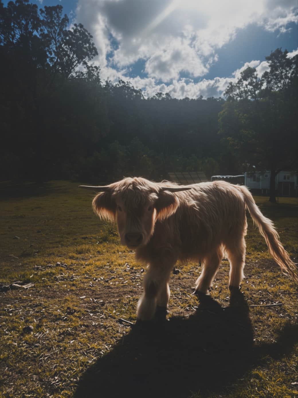 Hunter Valley Hideaway - Hamish