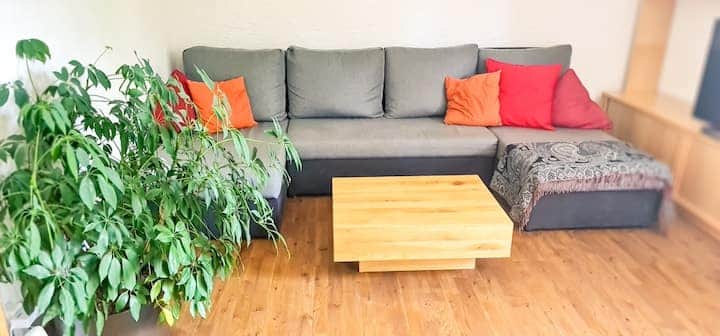 Apartment Bussalp