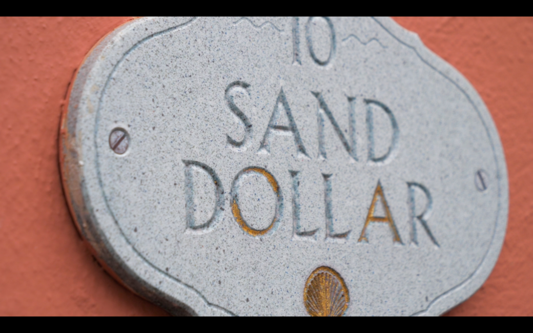 Screen Shot_Sand Dollar