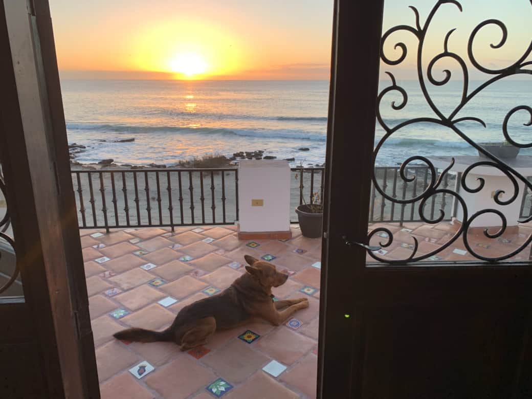 View from Patio
