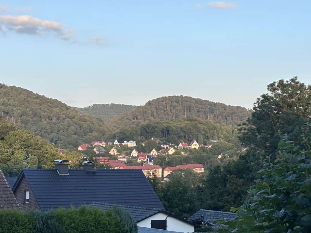 Pure Natur - dein Ausblick aus dem Schlafzimmer