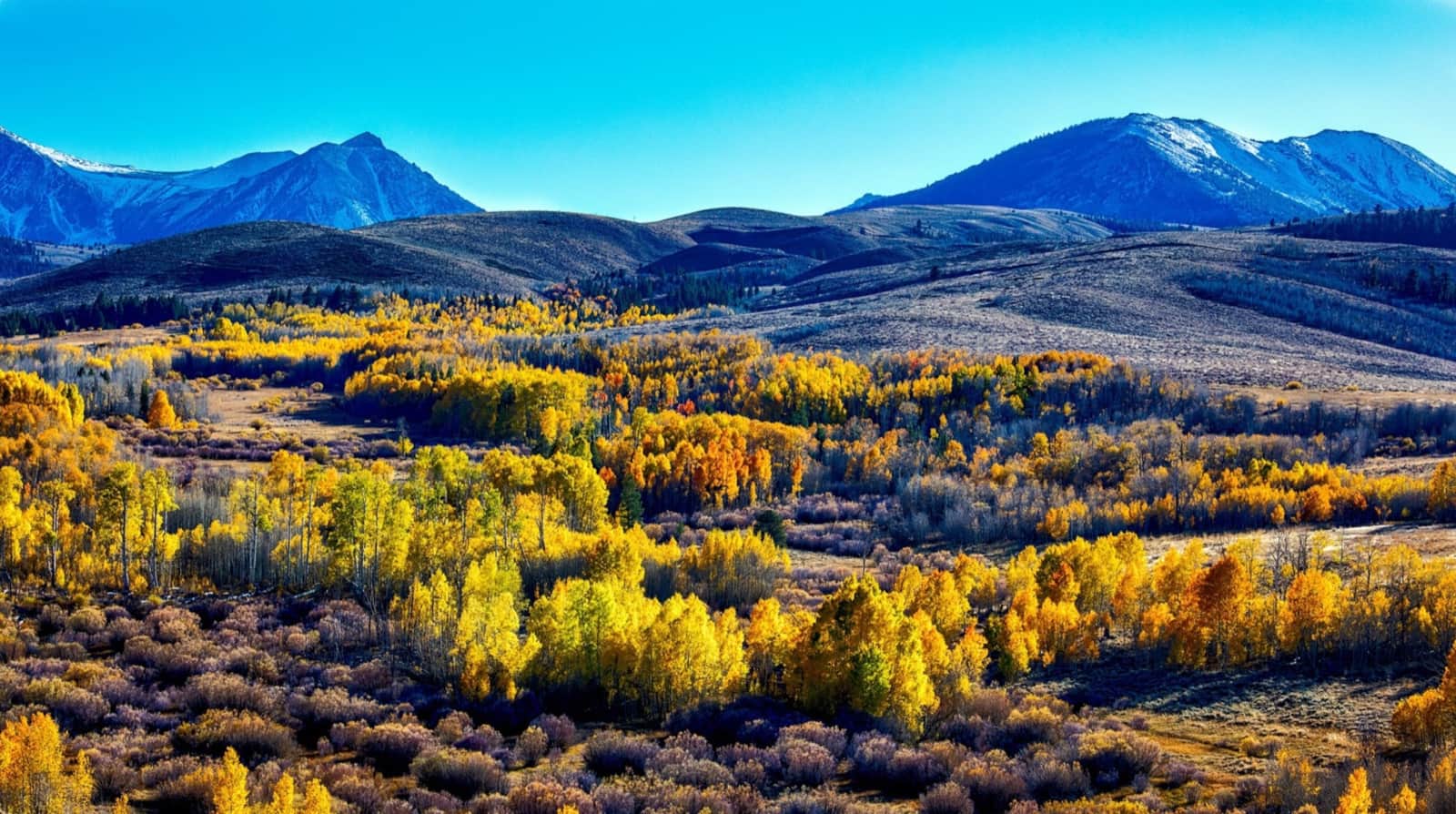 Autumn color across a broad Sierra Nevada mountain landscape