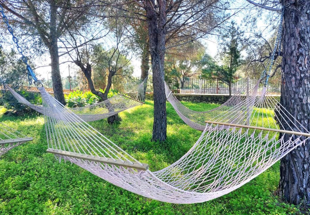 relaxation area with 4 hammocks in the pine forest