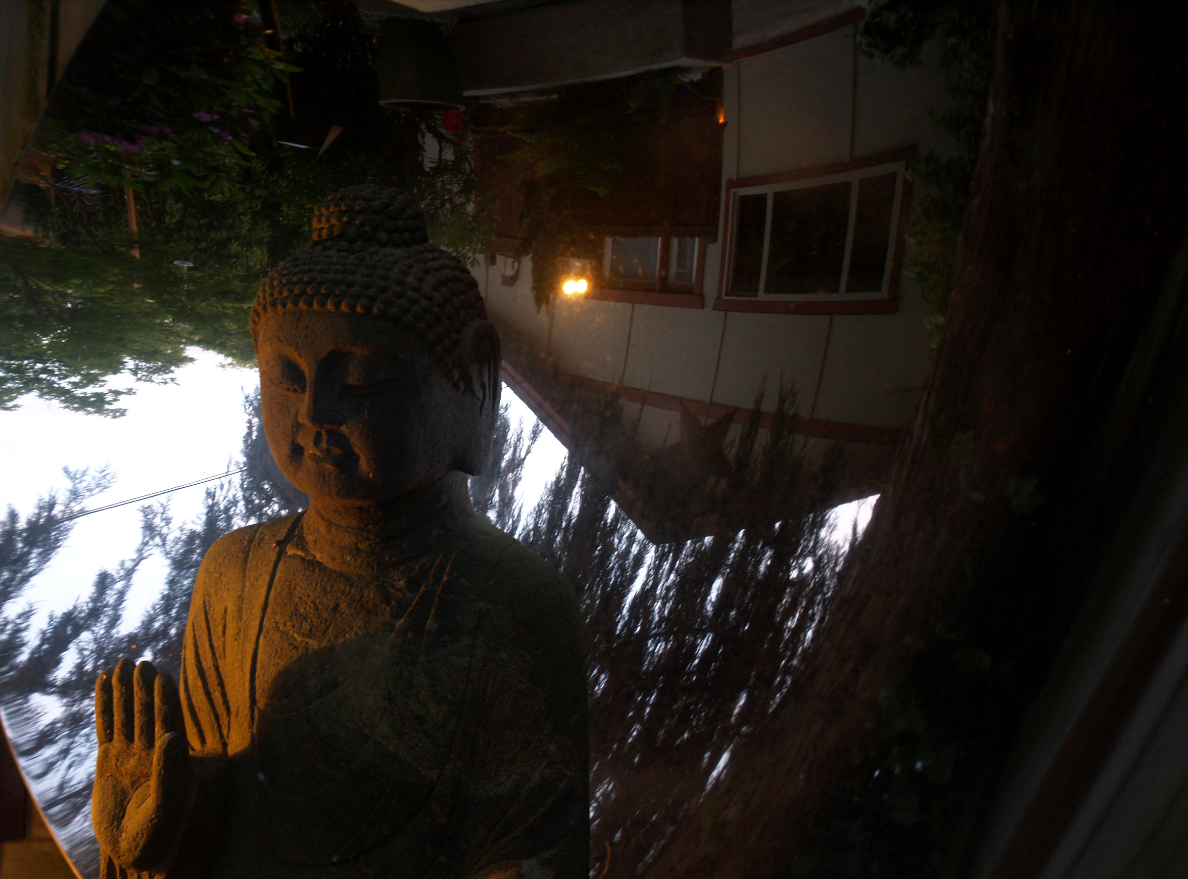 Night time Buddha reflection in the back garden