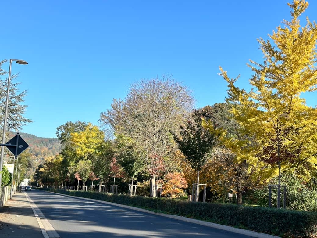 nahe gelegener Park nahe gelegener Park