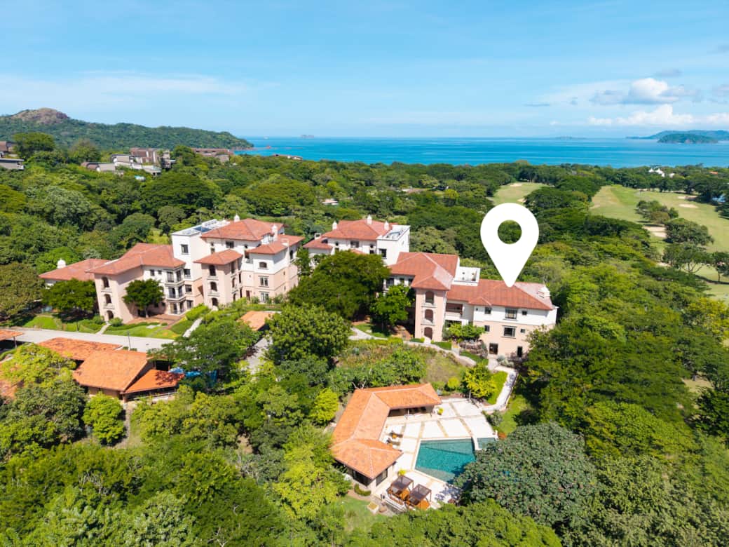 37 Jobo15guanamedia small