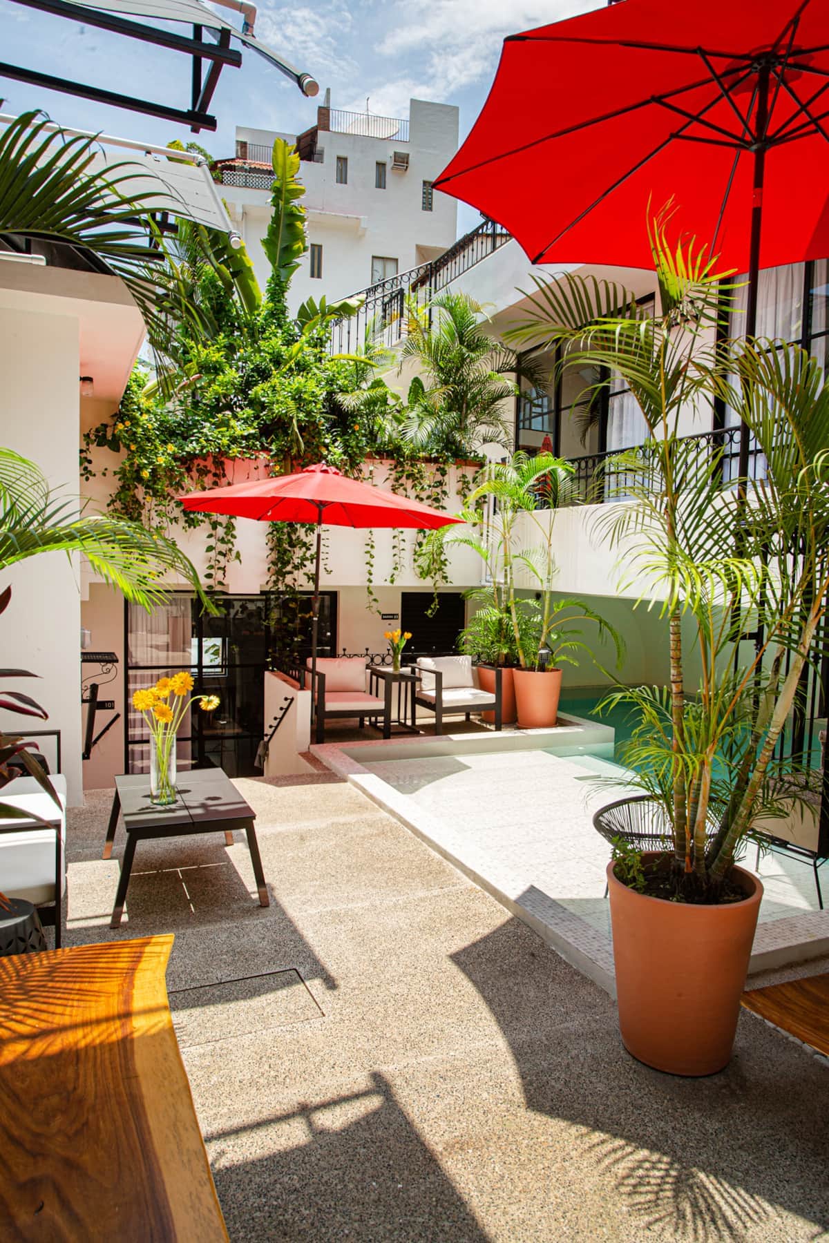 1B Terrace  - Photo Credit Josef Kandoll W.jpg