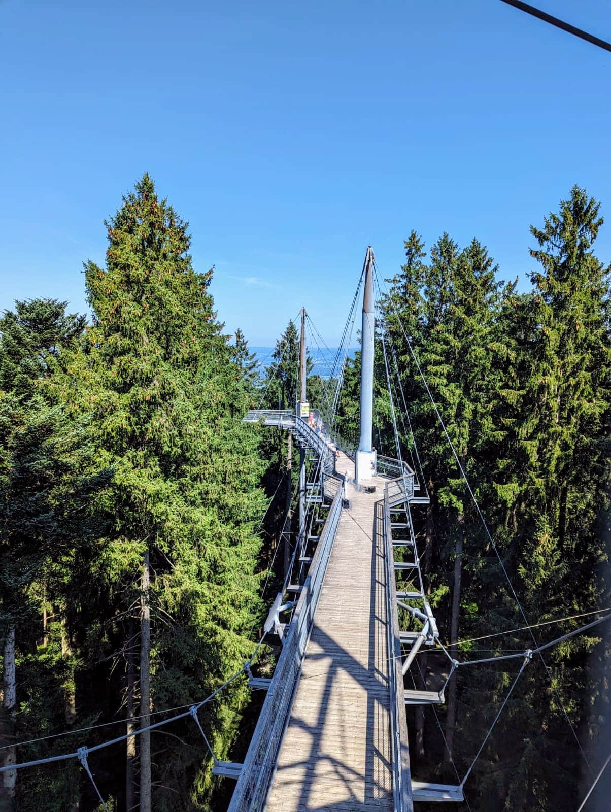 Waldwelt Skywalk Allgäu
