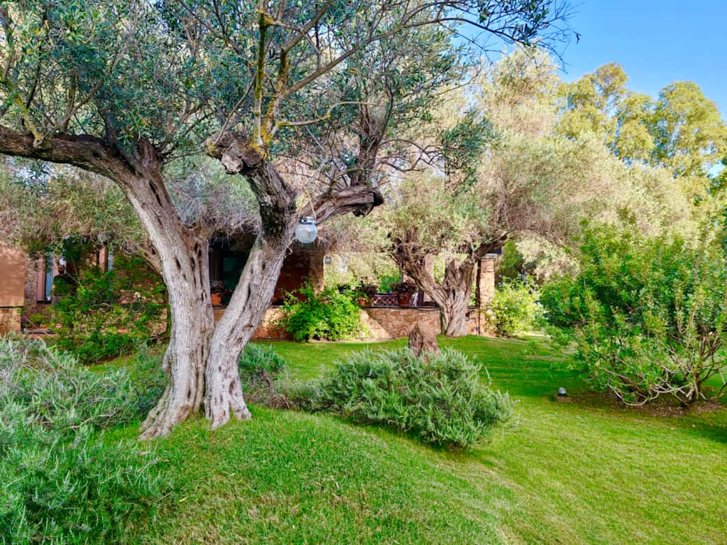 WhatsApp Image 2025-07-12 at 23.14 WhatsApp Image 2025-07-12 at 23.14