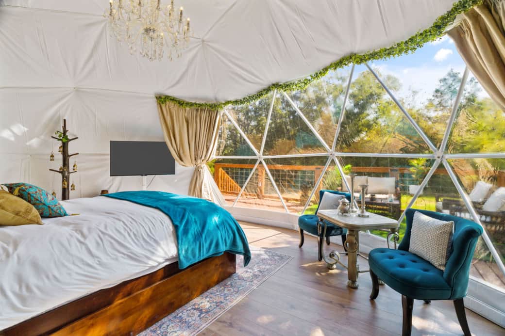 View from inside the dome