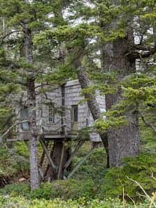 Small Tree House Exterior