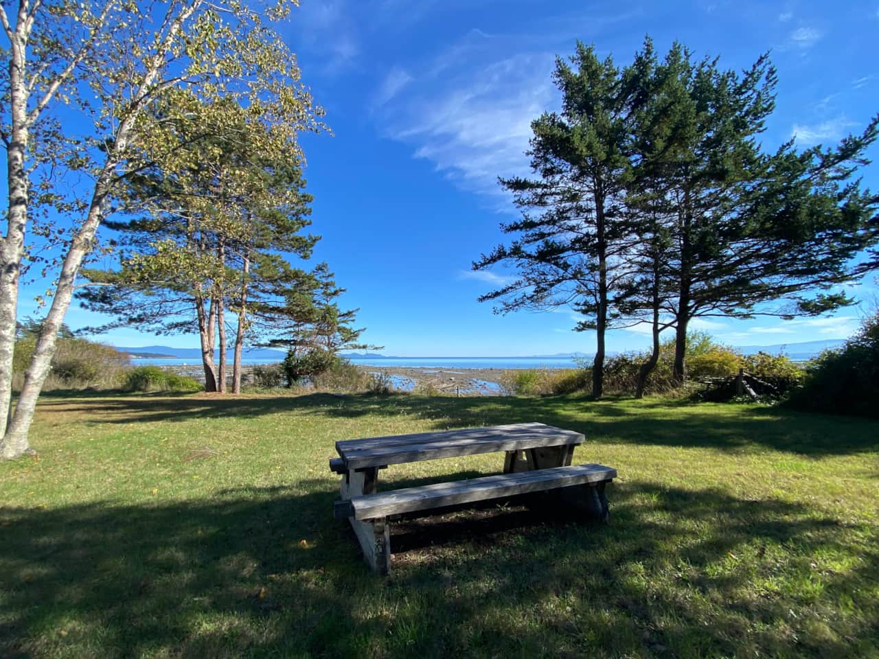 Custom picnic table