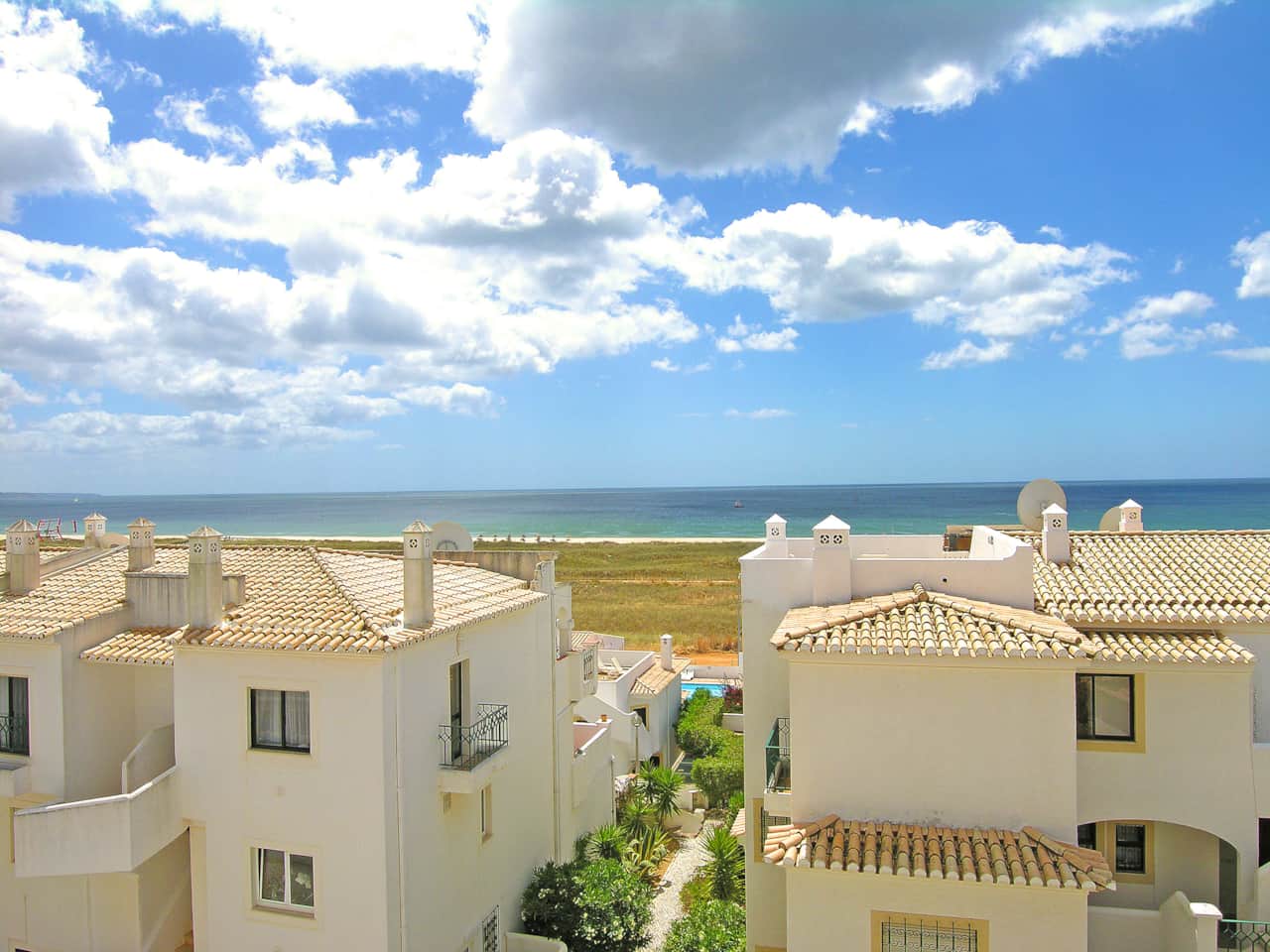 Pinheiro_3