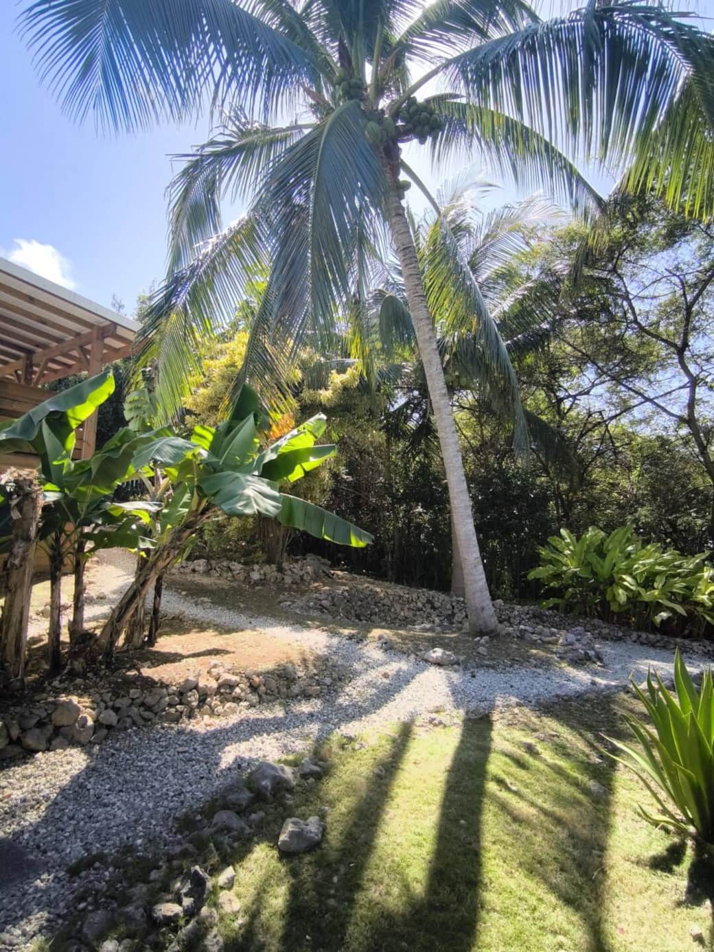 Villa Cazabelle Guadeloupe Jardin Villa Cazabelle Guadeloupe Jardin