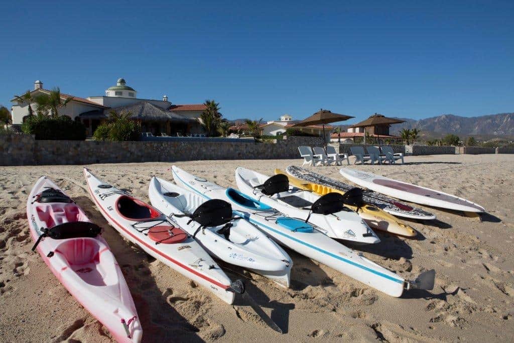 Fleet of 6 kayaks and 4 SUPs